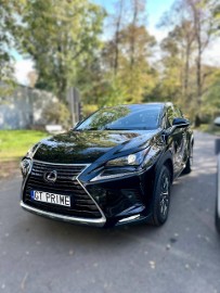 300h Hybryda Premium 4WD
