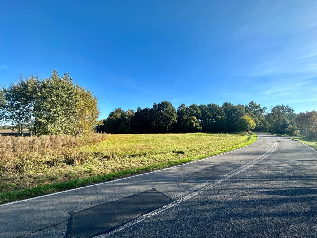 Duża działka przy lesie | 1602 m² | 300tys - Widok 3