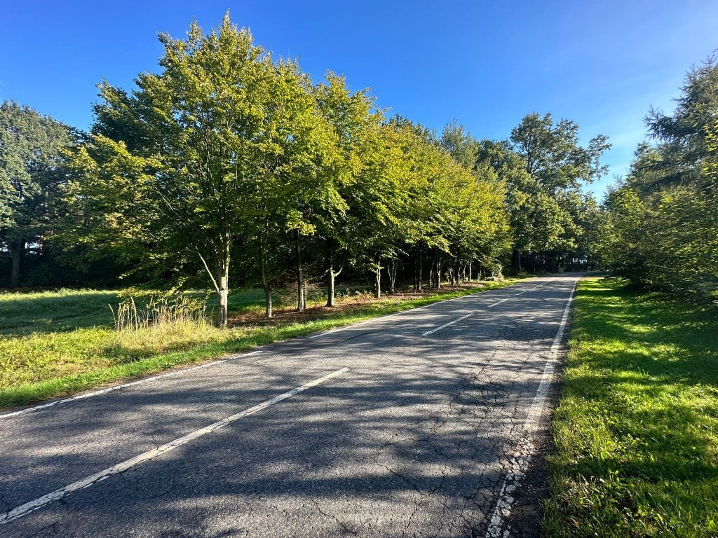 Duża działka przy lesie | 1602 m² | 300tys - Widok 4
