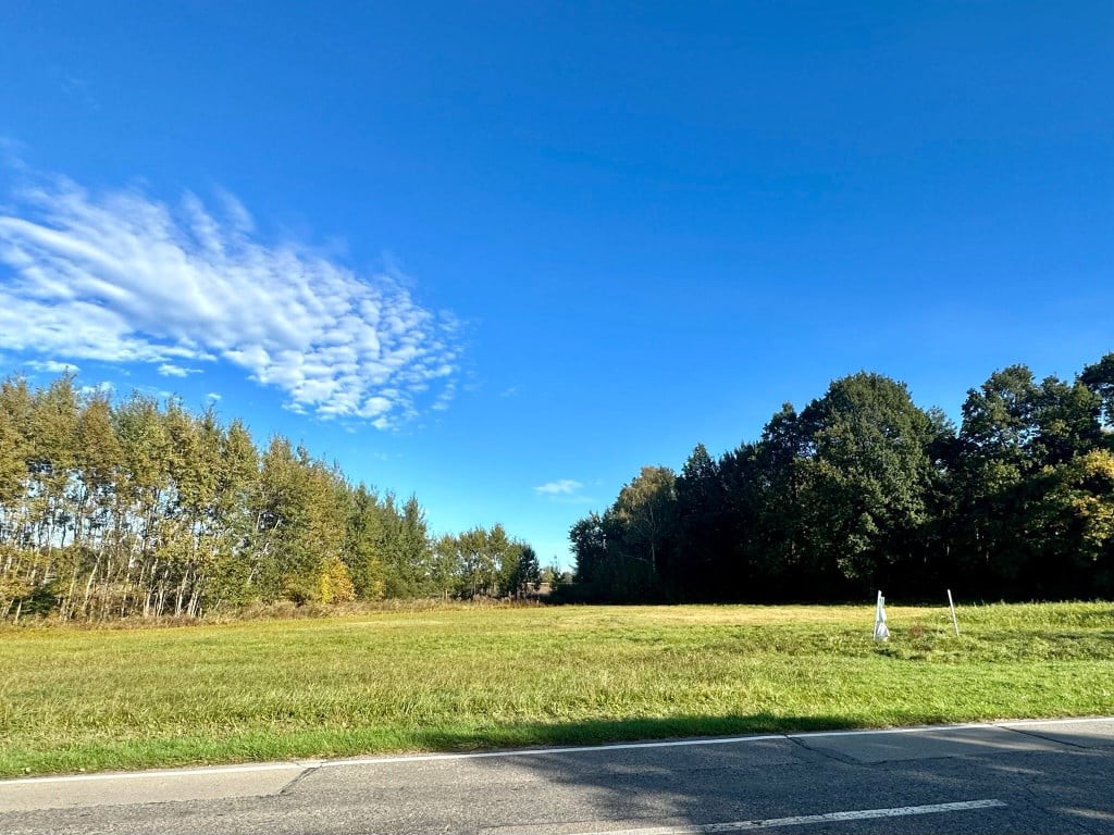 Duża działka przy lesie | 1602 m² | 300tys - Widok 5