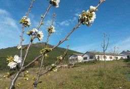 Dom Quinta Da Pinheira