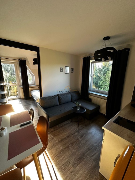 Apartament studio z balkonem i geotermią -ZAKOPANE - Więcej