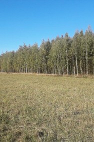 Działka leśna Rosnowo-2