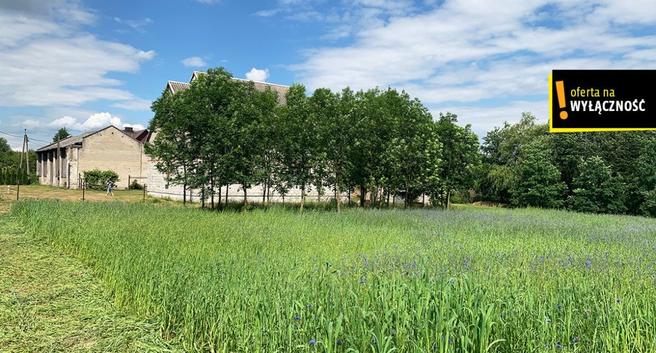 Dom piętrowy do własnej aranżacji -działka 4479 m² - Widok 4