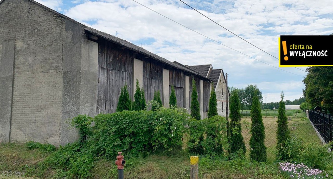 Dom piętrowy do własnej aranżacji -działka 4479 m² - Widok 6