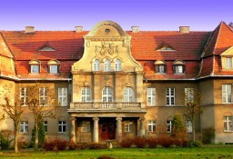 Pałac Proślice wraz 2,5 hektarowym parkiem może być Twój!