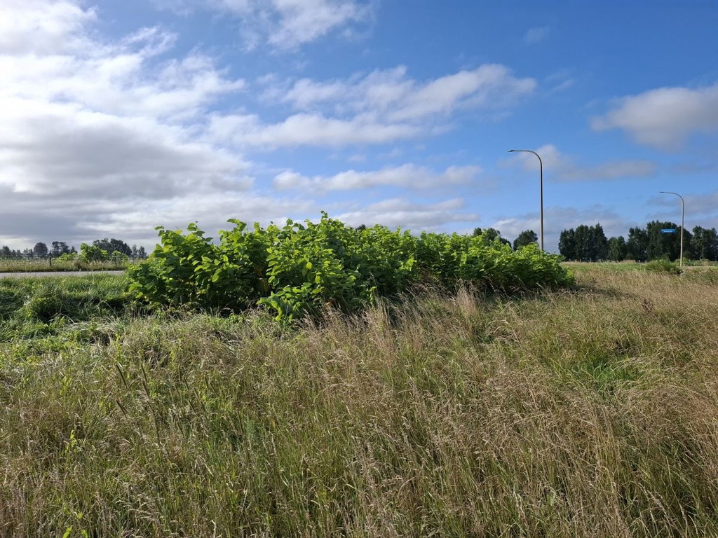 Działka na sprzedaż, 2080 m², Darłowo - Widok 2
