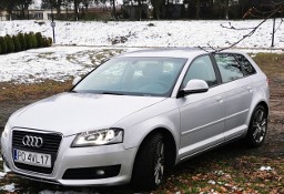 Audi A3 II (8P) 2.0 TDI 170KM Sportback