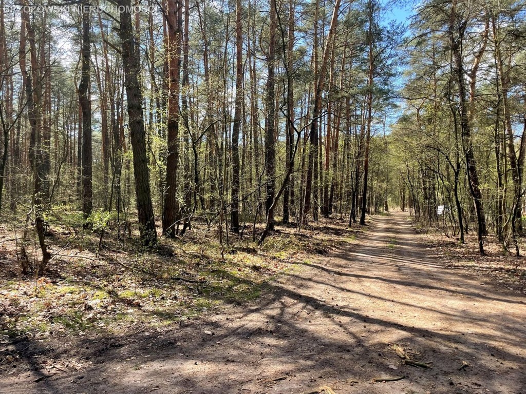 Otwocj, 2680 m², MPZP, wolnostojący - Widok 2