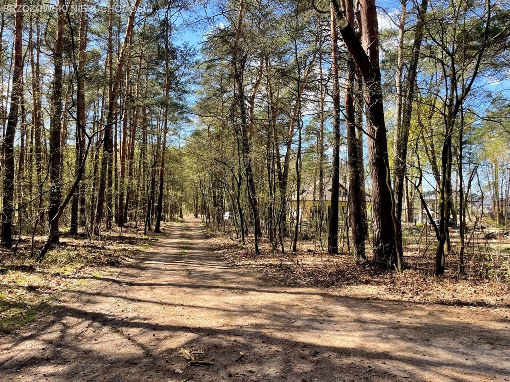 Otwocj, 2680 m², MPZP, wolnostojący - Widok 3