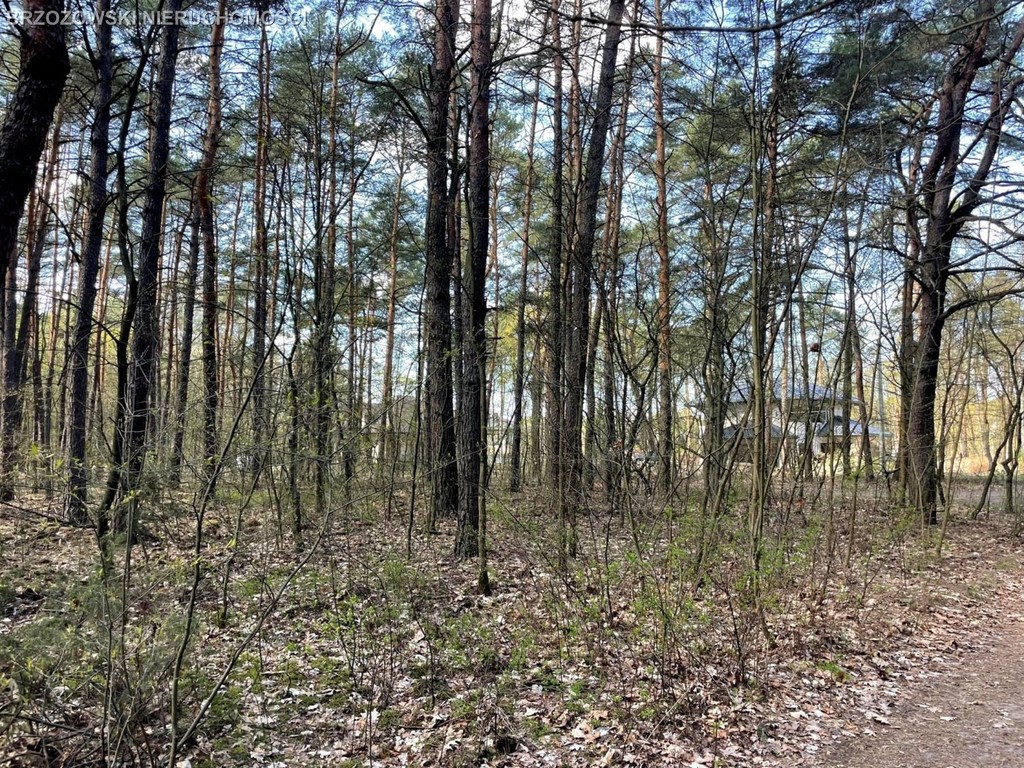Otwocj, 2680 m², MPZP, wolnostojący - Widok 4