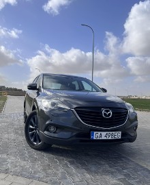 Salon Polska 2014 - drugi właściciel.