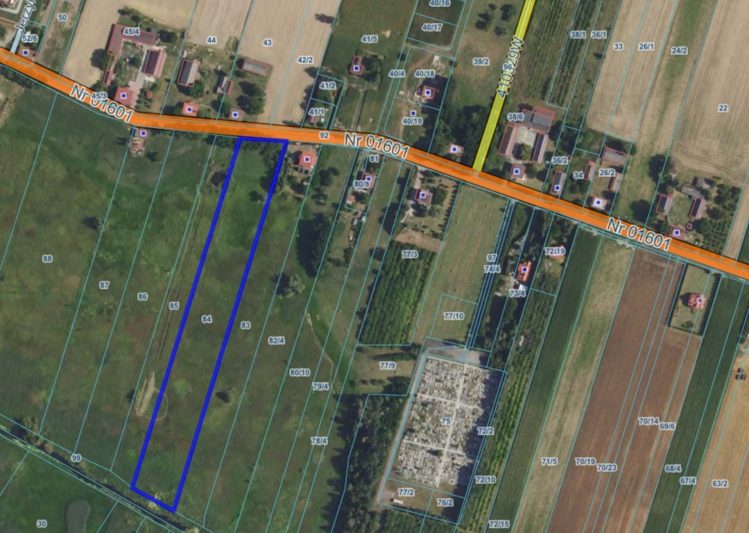 Zawady, Kampinos działka z dostępem do rzeki - Widok 3