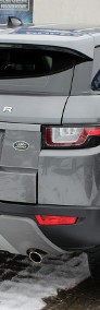 Land Rover Range Rover Evoque I 4x4 SalonPL 2.0TD4 SE 150KM FV23% 1WŁ Navi Bi-Xenon Skóra Gwarancja-4