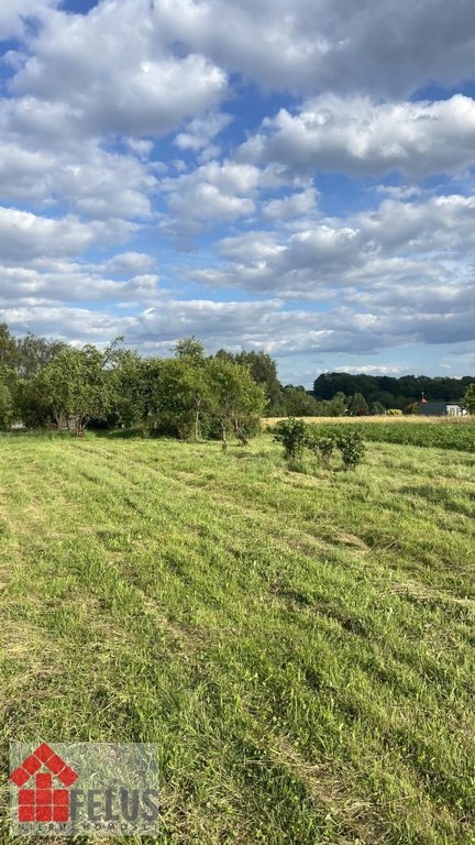 Działka na sprzedaż, 2300 m², Czernichów Rybna - Widok 2