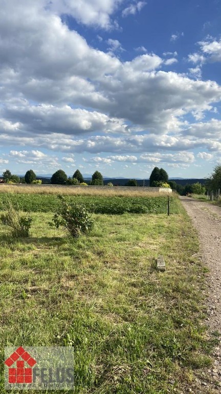 Działka na sprzedaż, 2300 m², Czernichów Rybna - Widok 3