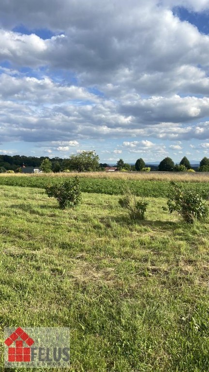Działka na sprzedaż, 2300 m², Czernichów Rybna - Widok 4