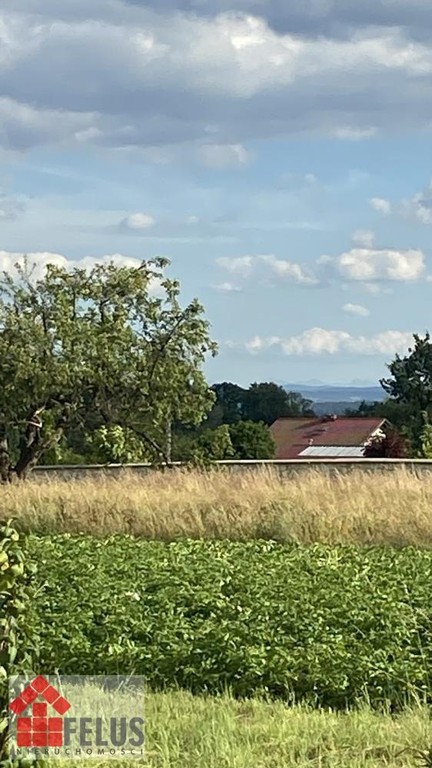 Działka na sprzedaż, 2300 m², Czernichów Rybna - Widok 5