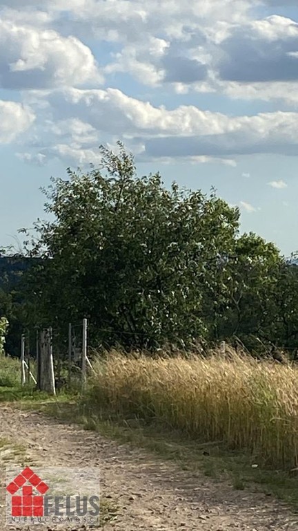 Działka na sprzedaż, 2300 m², Czernichów Rybna - Widok 6
