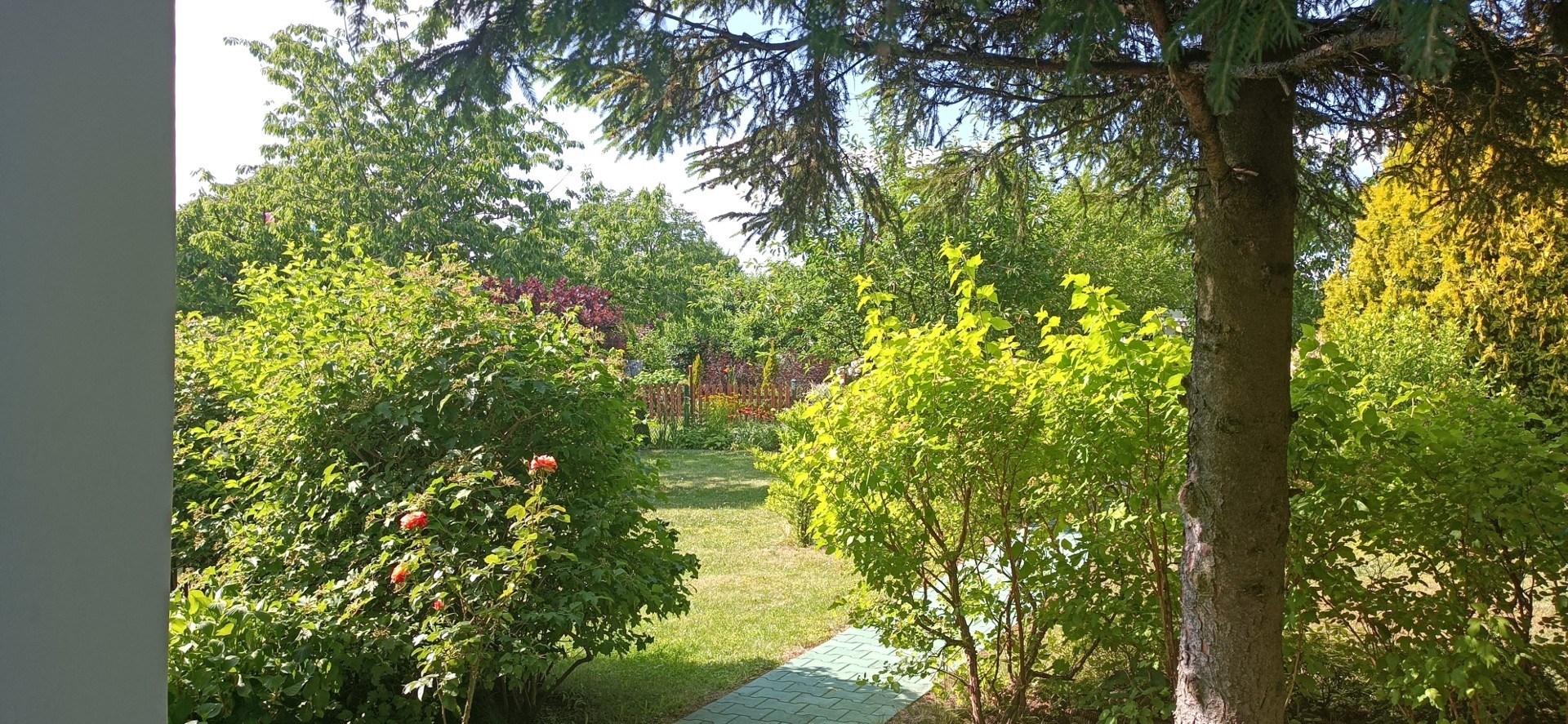 Ogródek działkowy ROD Rząsawa Częstochowa 400m2 Gratka.pl Oferta