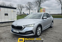 Skoda Octavia III TELEFON: 606 504 729 | LOKALIZACJA: Włocławek