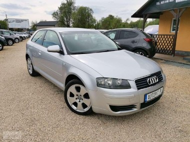 Audi A3 II (8P)-1