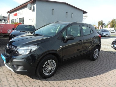 Hatchback-1