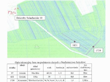 udział 1/2  w prawie własności j nieruchomości leśnej 0,47 ha - Jabłonna Lacka-2