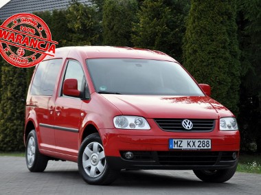 Volkswagen Caddy III 1.6MPI(102KM)*Life*Klimatronik*I Właściciel*Welur*Alu15"ASO VW-1