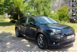 Citroen C4 Cactus I Panorama