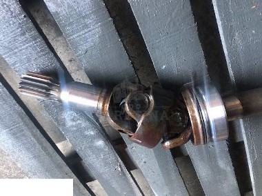 Faresin - Zwolnica-1