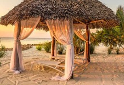 Altana ogrodowa Daszek plażowy - Prawdziwa Palma -  Wiata Parasol Egzotyczna