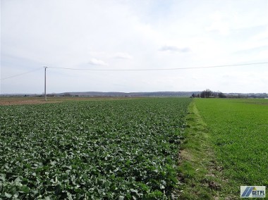 Działka budowlano-rolna 1,6 ha, 20 km od Krakowa-1