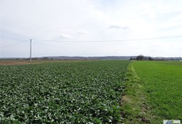 Działka rolno-budowlana Słomniki