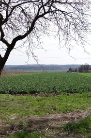Działka budowlano-rolna 1,6 ha, 20 km od Krakowa-2