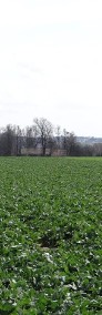 Działka budowlano-rolna 1,6 ha, 20 km od Krakowa-3