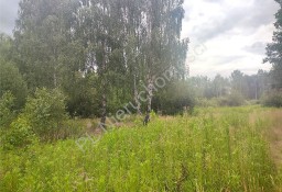 Działka leśna Budy Michałowskie