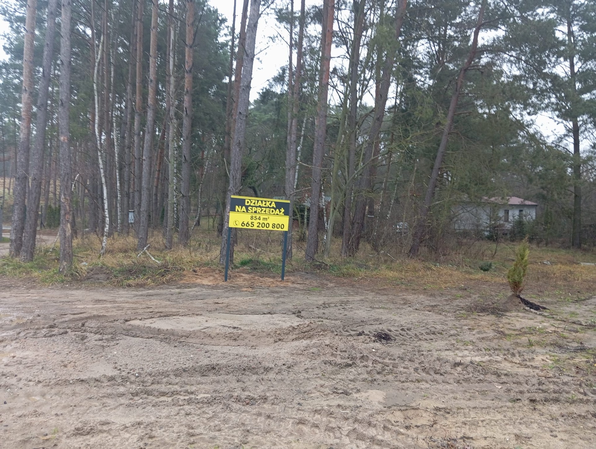 Działka budowlana blisko lasu - Widok 3