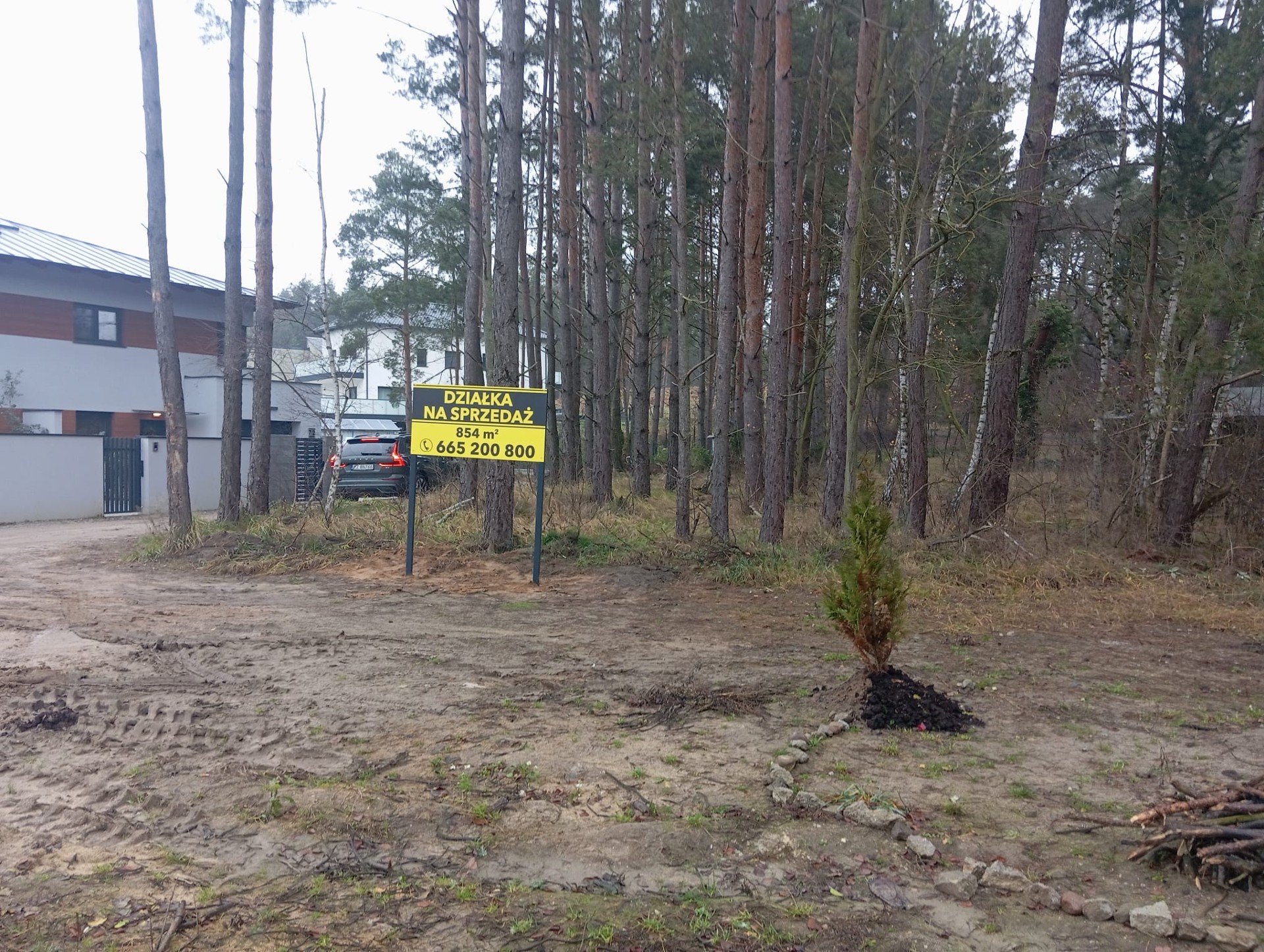 Działka budowlana blisko lasu - Widok 4
