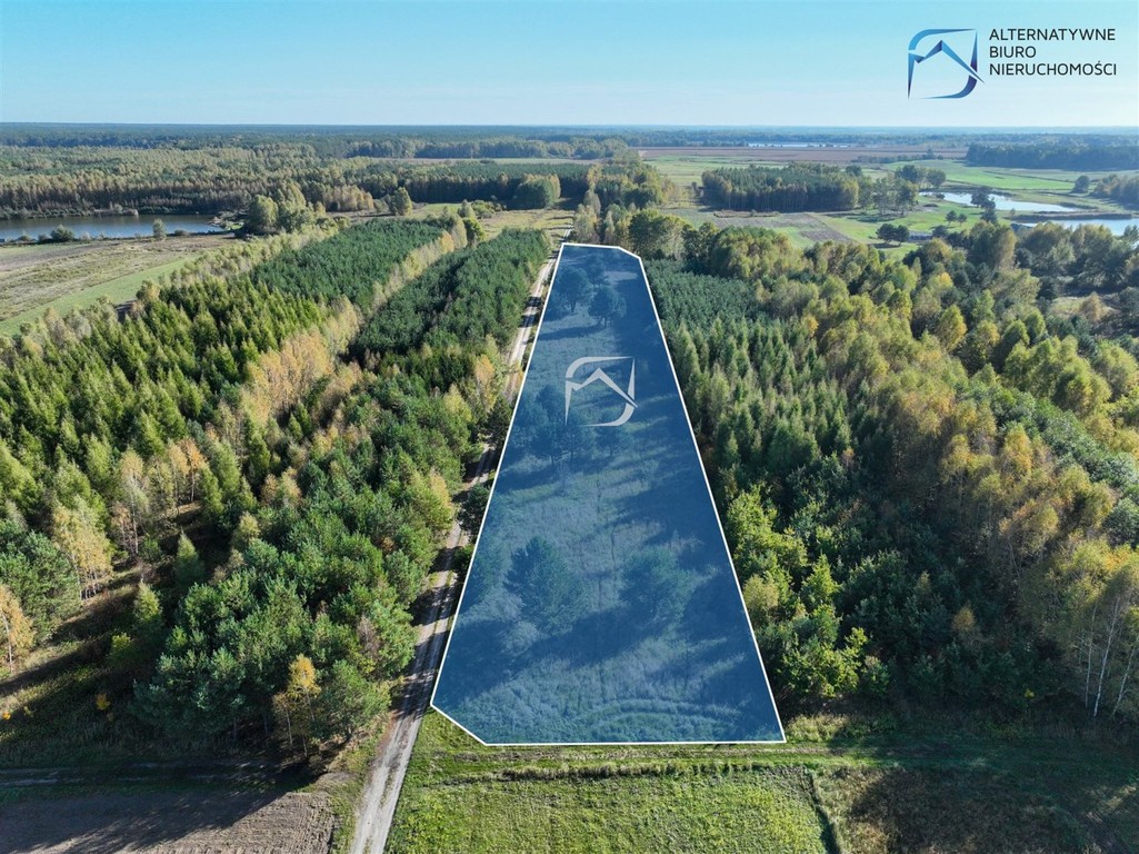 Działka rolna w Bójkach - Widok 2