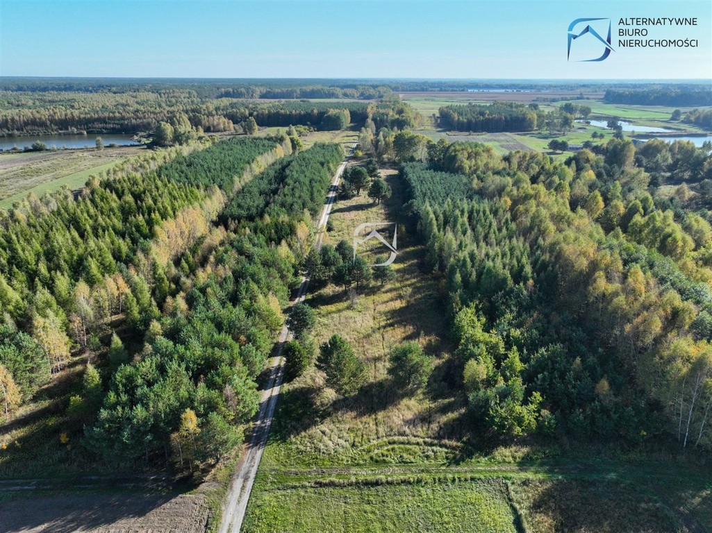 Działka rolna w Bójkach - Widok 3