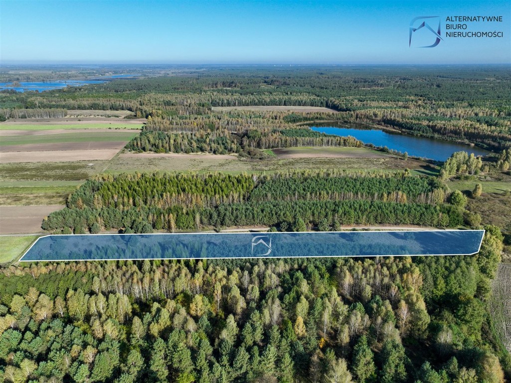 Działka rolna w Bójkach - Widok 4
