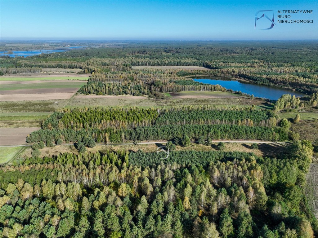 Działka rolna w Bójkach - Widok 5