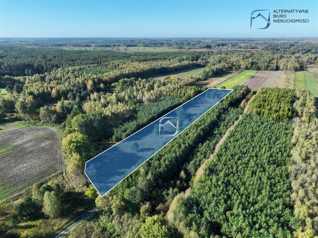 Działka rolna w Bójkach - Widok 6