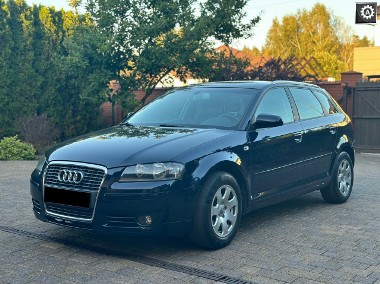 Audi A3 II (8P) 1.8-1