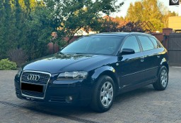 Audi A3 II (8P) 1.8