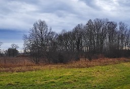 Działka budowlana Wilków