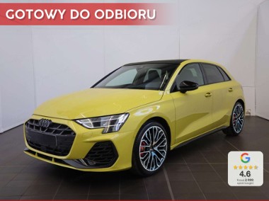 Audi S3 III (8V) S3 TFSI quattro Sportback 2.0 S3 TFSI quattro Sportback (333KM) Dach-1