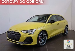 Audi S3 III (8V) S3 TFSI quattro Sportback 2.0 S3 TFSI quattro Sportback (333KM) Dach