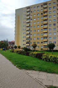 Słoneczne mieszkanie 3-pokojowe, 52,6 m2 przy Saperskiej w Tczewie-2
